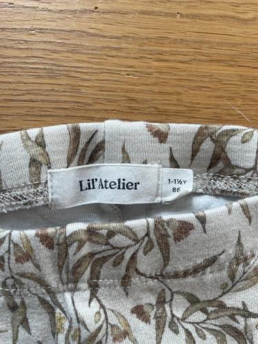 lill12.jpeg