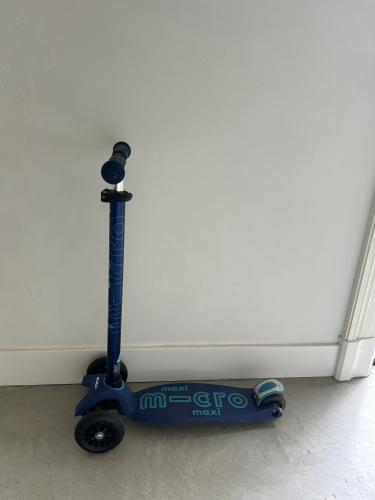 IMG_7781.jpeg
