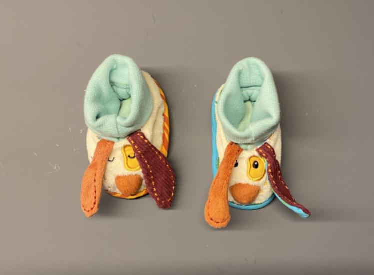 Hondenslofjes van liliputiens