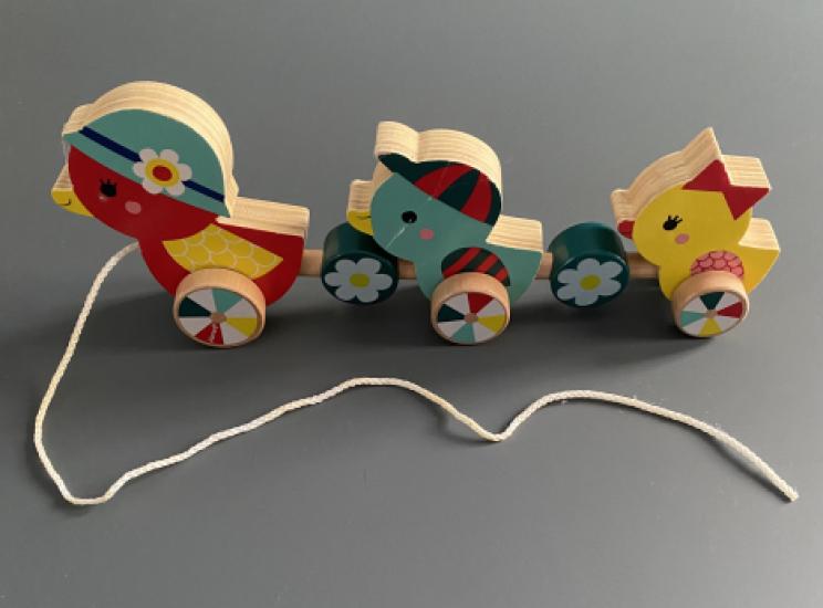 Eendjes om mee te wandelen.