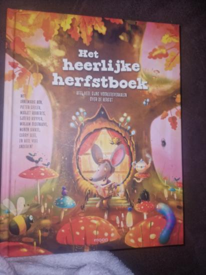 HET HEERLJKE HERFSTBOEK