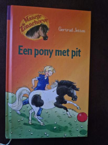 EEN PONY MET PIT