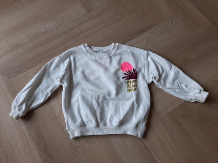 Sweater van de Zara