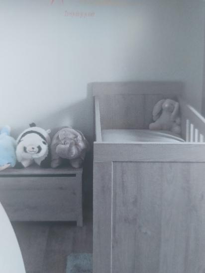 Kinderkamer Florida met meegroeibed