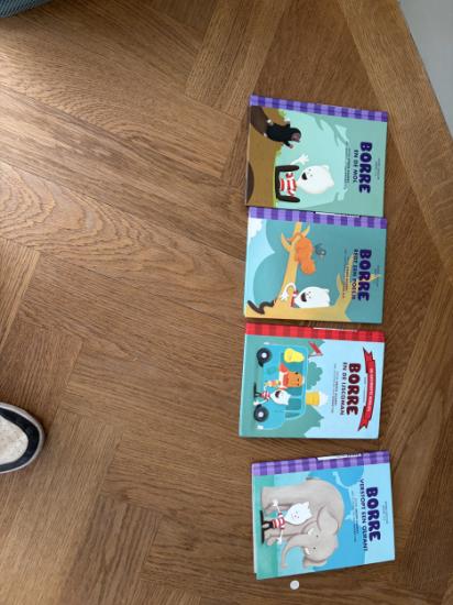 Borre boekjes