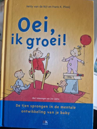 DE 10 SPRONGEN IN DE ONTWIKKELING VAN EEN KIND