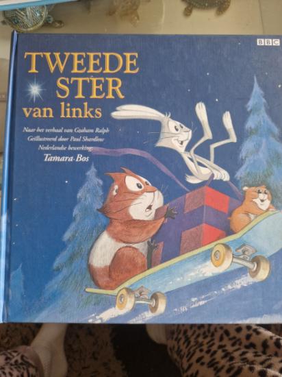 Prentenboek - Tweede Ster van Links