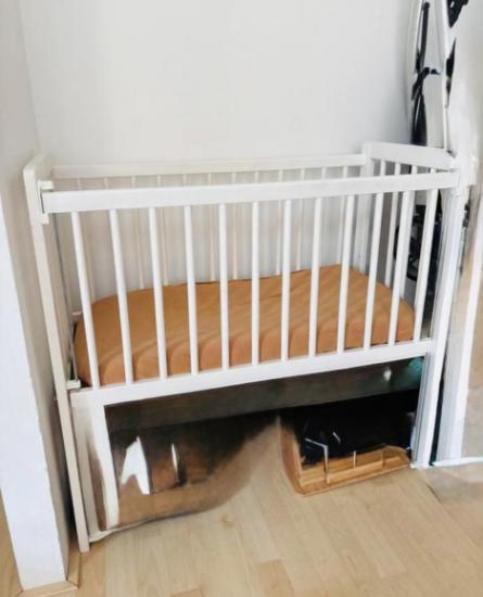 Petit Amelie co sleeper