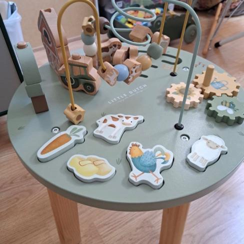 Activiteiten tafel little dutch