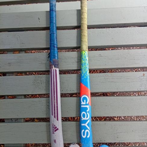 Hockeystick