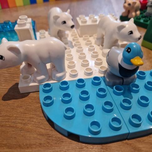 Duplo