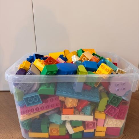 Grote bak Duplo (>3kg)