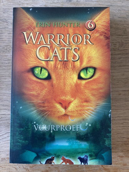 Boek: Warrior Cats 6