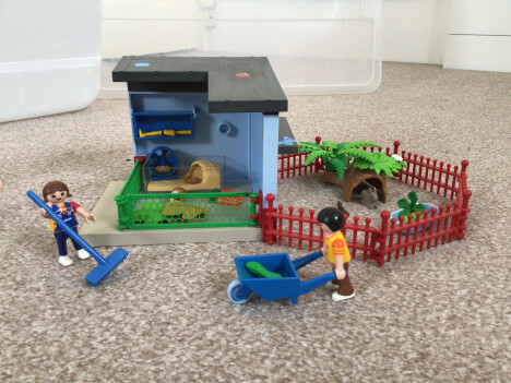 IMG_0335.jpeg