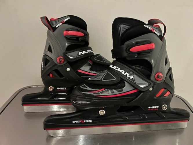 Nijdam schaatsen 1.jpg